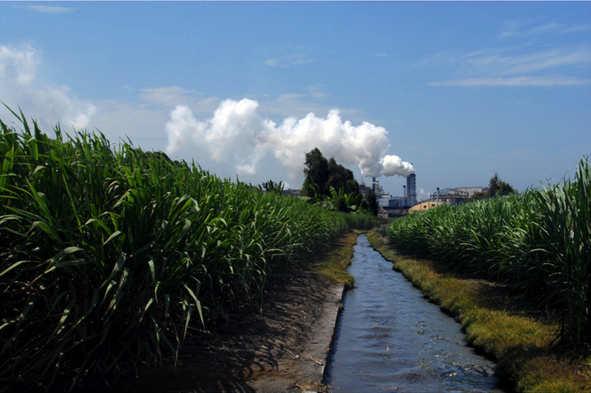 CMS – Développement Comment booster vos ventes en ligne avec Prestashop ?